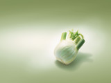 3137_Fenchel_web Kopie
