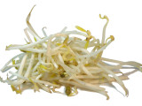 Sprossen