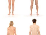 Human_Body