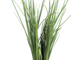chives in a glass on white background