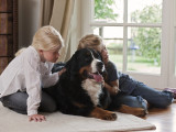 Psychotherapie_mit_Hund