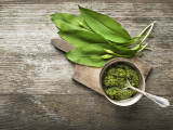Wild garlic pesto on wood table closeup